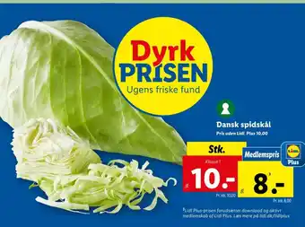 Spidskål