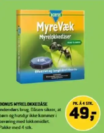 XL-BYG BONUS MYRELOKKEDÅSE tilbud