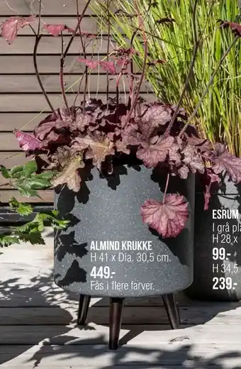 Ilva Almind krukke tilbud