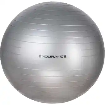 Sport 24 Endurance Træningsbold 55 CM tilbud