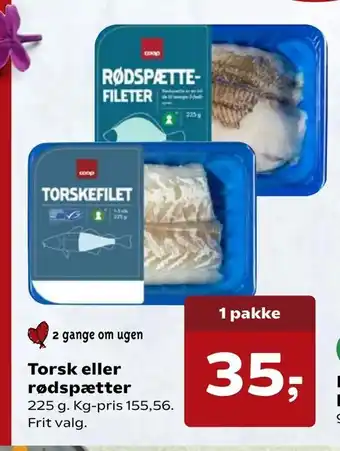 Torsk eller rødspætter