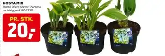 jem & fix HOSTA MIX tilbud