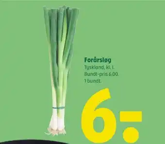 Coop 365 Forårsløg tilbud