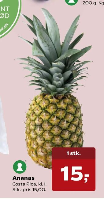 Kvickly Ananas tilbud