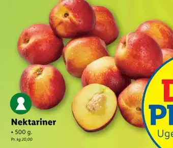 Lidl Nektariner tilbud