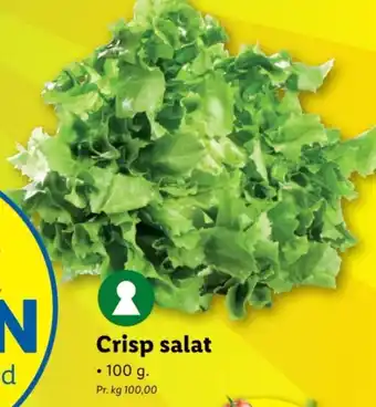 Lidl Crisp salat tilbud