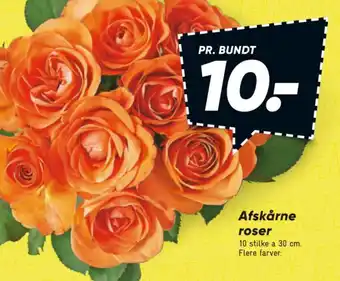 Bilka Afskårne roser tilbud