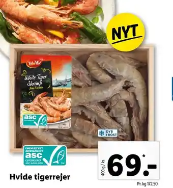 Hvide tigerrejer