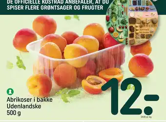 Abrikoser i bakke Udenlandske 500 g
