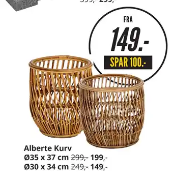 Alberte Kurv