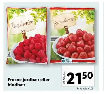 Let-Køb Frosne jordbær eller hindbær tilbud
