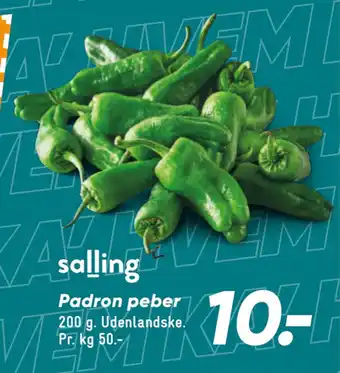 Bilka Padron peber tilbud