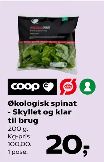 Økologisk spinat - Skyllet og klar til brug