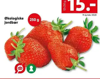 Let-Køb Økologiske jordbær tilbud