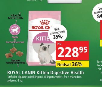 Maxi Zoo ROYAL CANIN Kitten Digestive Health tilbud