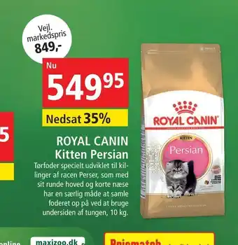 Maxi Zoo ROYAL CANIN Kitten Persian tilbud