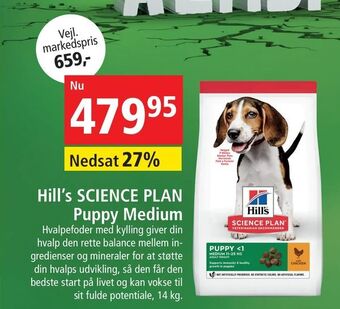 Maxi Zoo Hill's SCIENCE PLAN Puppy Medium tilbud