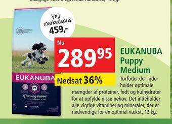 Maxi Zoo EUKANUBA Puppy Medium tilbud