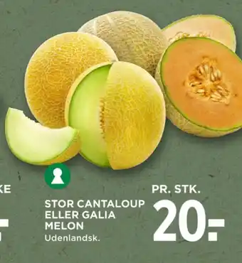 Galiamelon