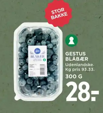 MENY Blåbær tilbud
