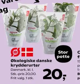 Kvickly Krydderurter tilbud