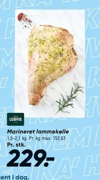 Bilka Lammekølle tilbud