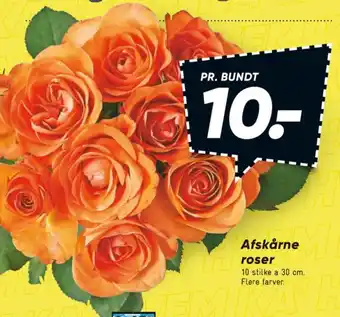 Bilka Buket tilbud