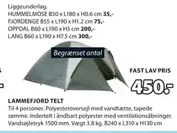 LAMMEFJORD TELT