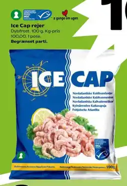 Ice Cap rejer