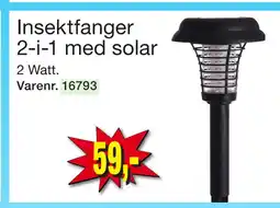 Insektfanger 2-i-1 med solar