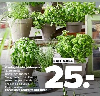 Netto Økologiske krydderurter tilbud