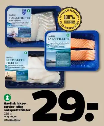 Netto Havfisk lakse-, torske- eller rødspættefileter tilbud