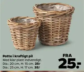 Netto Potte i kraftigt pil tilbud