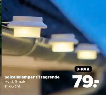 Netto Solcellelamper til tagrende tilbud