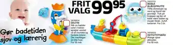 Delfin, Boble Blæksprutte, Aktivitetsbåd