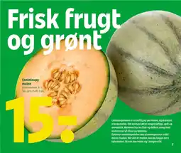 Cantaloupe melon