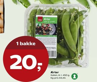 Ærter