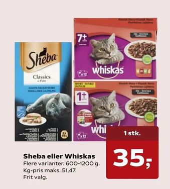 Sheba eller Whiskas