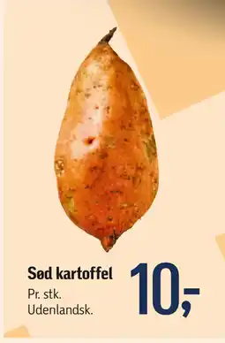 Sød kartoffel