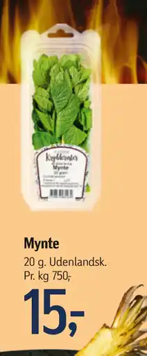 Føtex Mynte tilbud