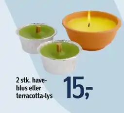 2 stk. haveblus eller terracotta-lys