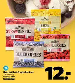 Netto Harvest Best frugt eller bær tilbud