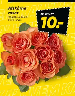 Bilka Afskårne roser tilbud
