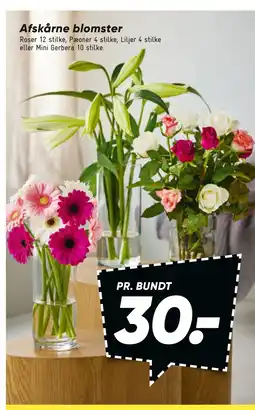 Bilka Afskårne blomster tilbud