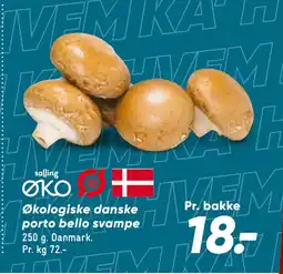 Bilka Økologiske danske porto bello svampe tilbud