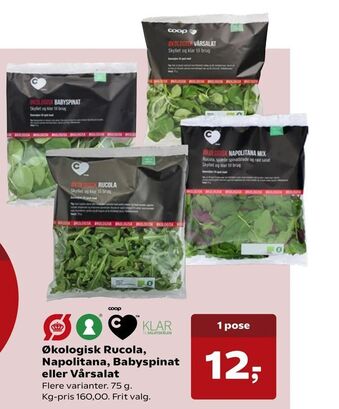 Økologisk Rucola, Napolitana, Babyspinat eller Vårsalat