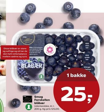 SuperBrugsen Smag Forskellen blåbær tilbud