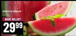 Løvbjerg Vandmelon tilbud
