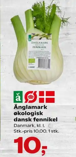 Fennikel