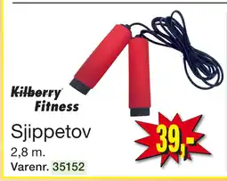 Sjippetov
